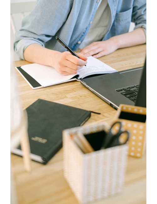 Studiebegeleiding